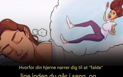 Lige når din krop endelig giver efter for søvnen, sker dette: