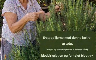 Skift dine piller ud med denne lækre urtete. Den vil hjælpe dig med at sige farvel til diabetes, dårlig blodcirkulation, forhøjet kolesterol, forhøjet blodtryk og trætte ben. Jeg skal fortælle dig opskriften: den er meget simpel.