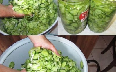 Hjemmelavet agurkesalat