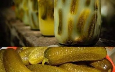 Sure agurker, sådan som jeg laver dem, bliver saften aldrig uklar