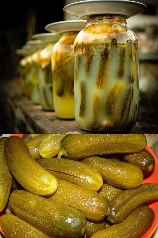 Sure agurker, sådan som jeg laver dem, bliver saften aldrig uklar