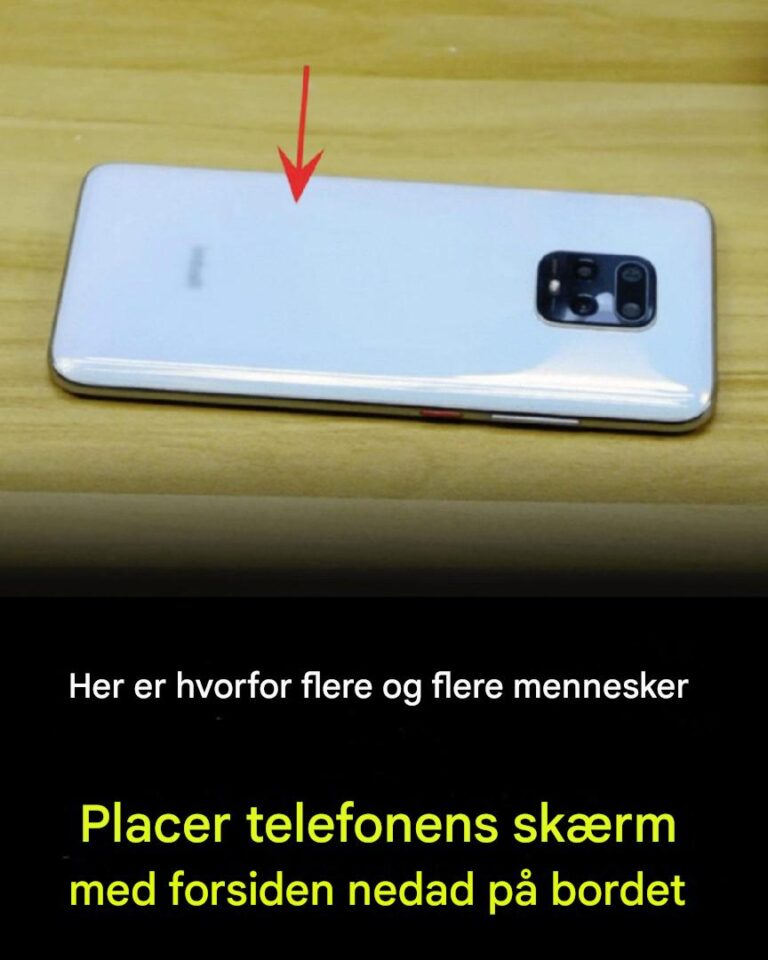 “Hvorfor findes telefonskærme i stigende grad på borde? Her er en sandhed, der er værd at kende”