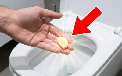 Læg et fed hvidløg i toilettet om natten af ​​denne geniale grund.