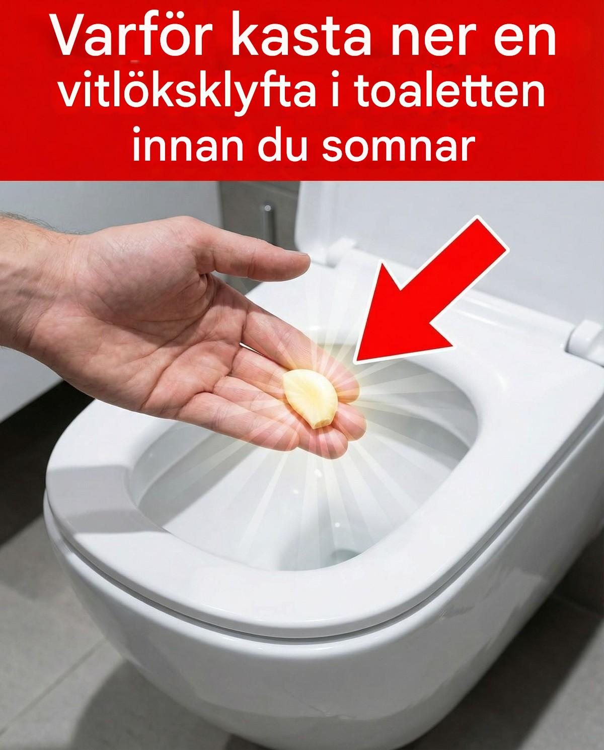 Læg et fed hvidløg i toilettet om natten af ​​denne geniale grund.