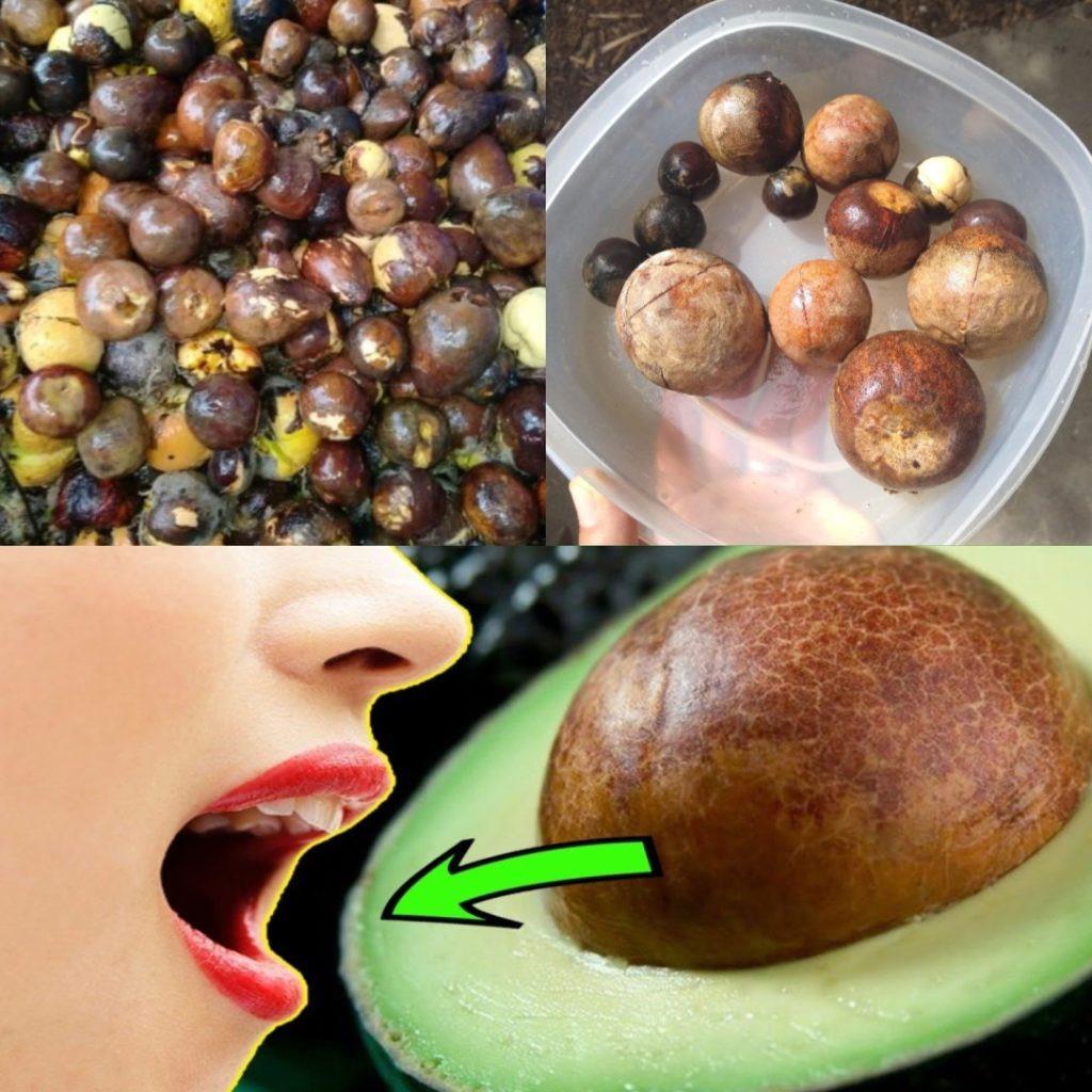 Hvad sker der, når man spiser avocadokerner?