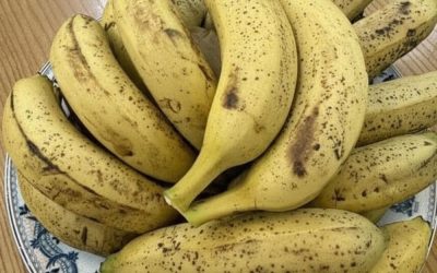 Læger afslører, at det at spise bananer som det første om morgenen forårsager…