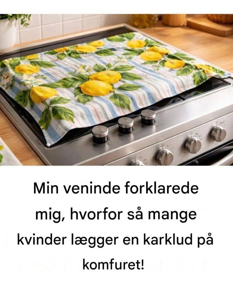 Min ven forklarede mig, hvorfor så mange kvinder lægger en klud på ovnen!
