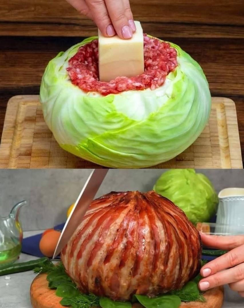 Udsøgte kålruller med cremet dildsauce