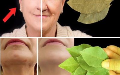 Laurbærblad er 100.000 gange stærkere end Botox. Selv 70 år gamle fjerner alle rynker. Fortsæt med at læse nedenfor i den første kommentar 👇