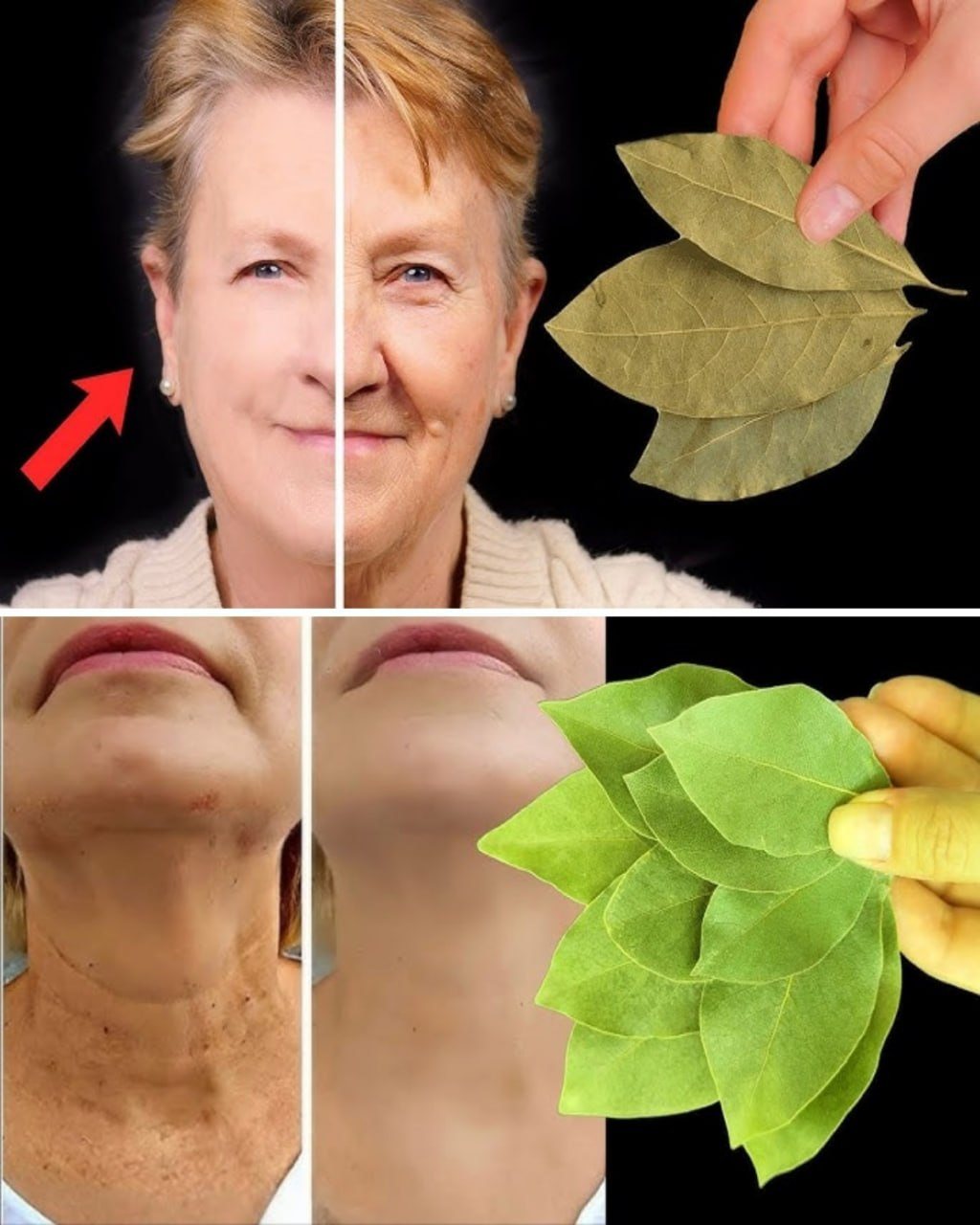 Laurbærblad er 100.000 gange stærkere end Botox. Selv 70 år gamle fjerner alle rynker. Fortsæt med at læse nedenfor i den første kommentar 👇
