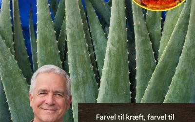 En aloe vera og honningdrink