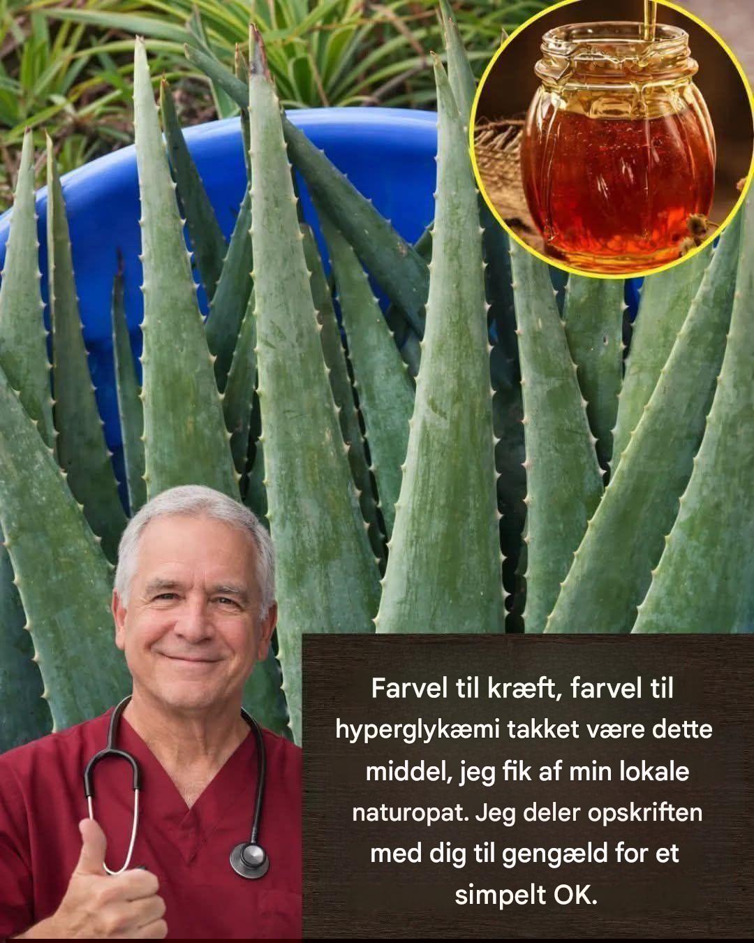 En aloe vera og honningdrink