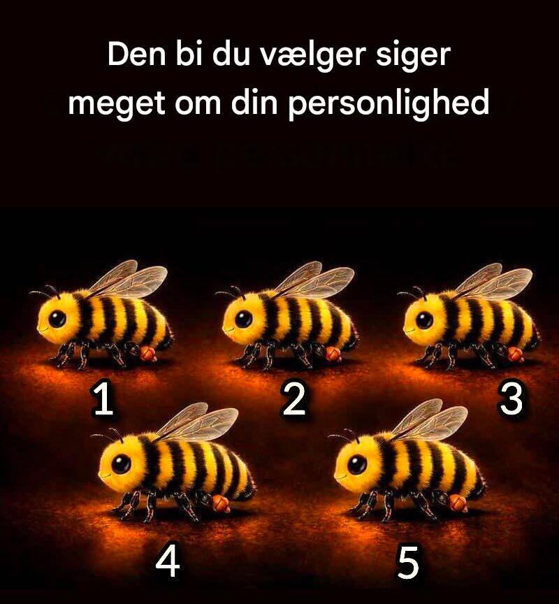 Den bi, du vælger, siger meget om din personlighed