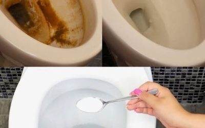 Den stædige limescale på toilettet forsvinder med denne ingrediens