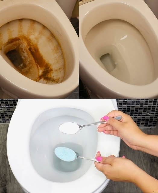 Den stædige limescale på toilettet forsvinder med denne ingrediens