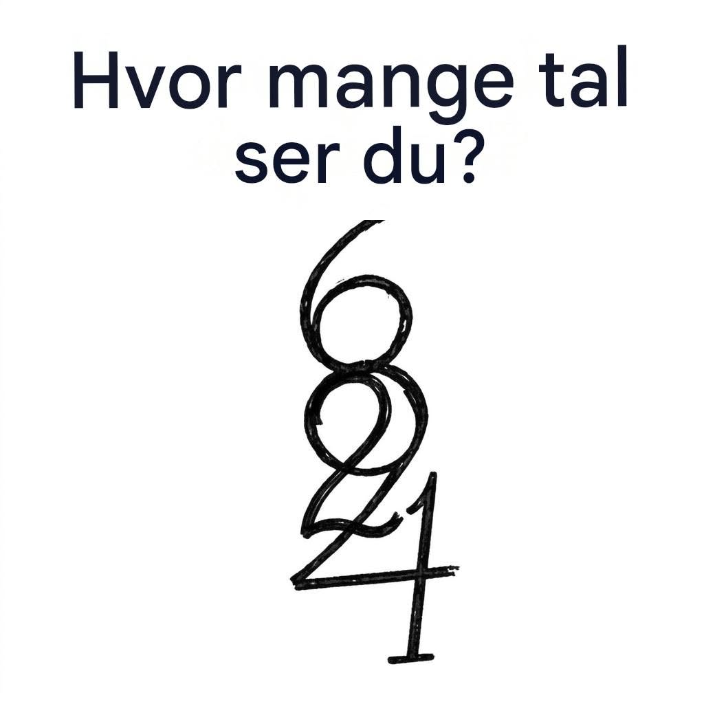 Hvor mange tal ser du?