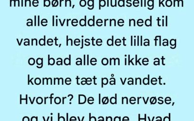Det lilla flag på stranden: Den vigtige advarsel, som de fleste strandgæster ignorerer