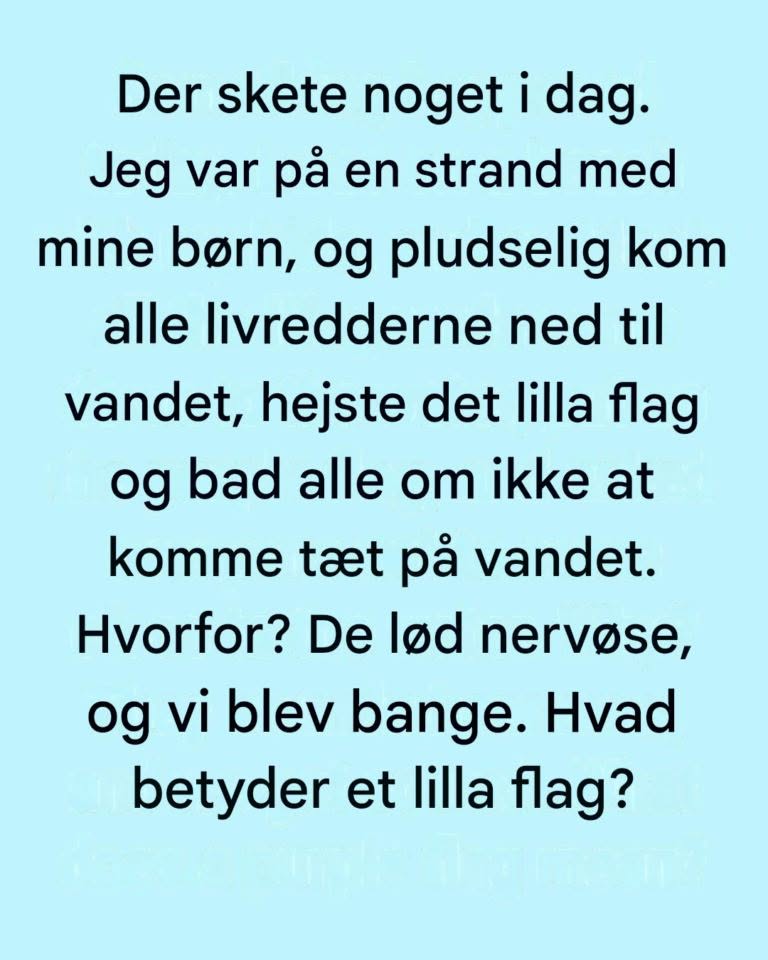 Det lilla flag på stranden: Den vigtige advarsel, som de fleste strandgæster ignorerer