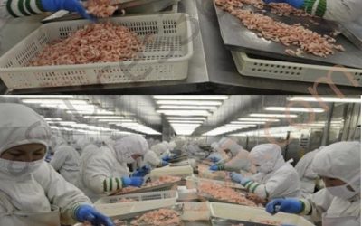8 fødevarer i Kina, der ikke længere kan spises