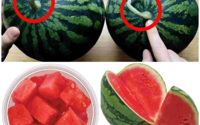 Sådan vælger du den perfekt søde vandmelon: Enkle tips på et øjeblik