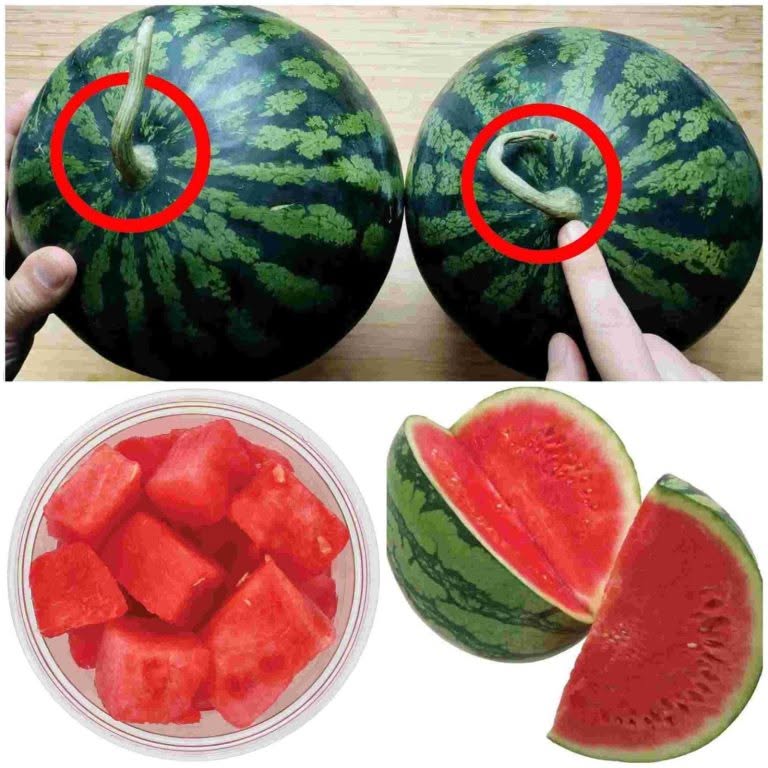 Sådan vælger du den perfekt søde vandmelon: Enkle tips på et øjeblik