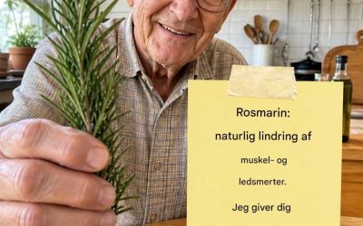 Rosmarin: naturlig morfin mod muskel- og ledsmerter. I den første kommentar har jeg inkluderet hele OPSKRIFT og den korrekte måde at bruge den på. For at fortsætte med at modtage mine naturlige opskrifter, skal du blot efterlade en kommentar. Tak!