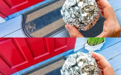 Erfarne husmødre lægger aluminiumsfolie ved husets indgang for at fjerne et alvorligt problem