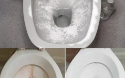 Toiletrengøring: Siden jeg opdagede denne metode, har mine toiletter altid været hvide og skinnende! Jeg bruger ikke kemikalier længere!