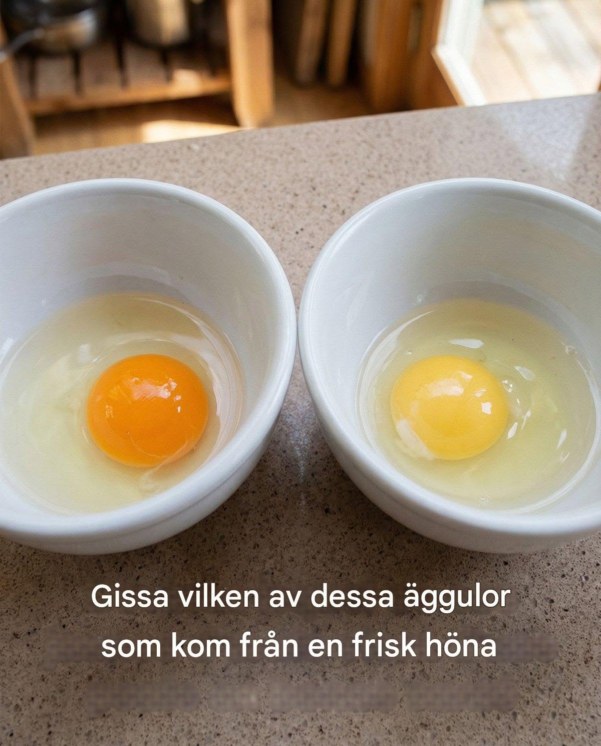 Gæt hvilken af ​​disse æggeblommer der kom fra en sund høne