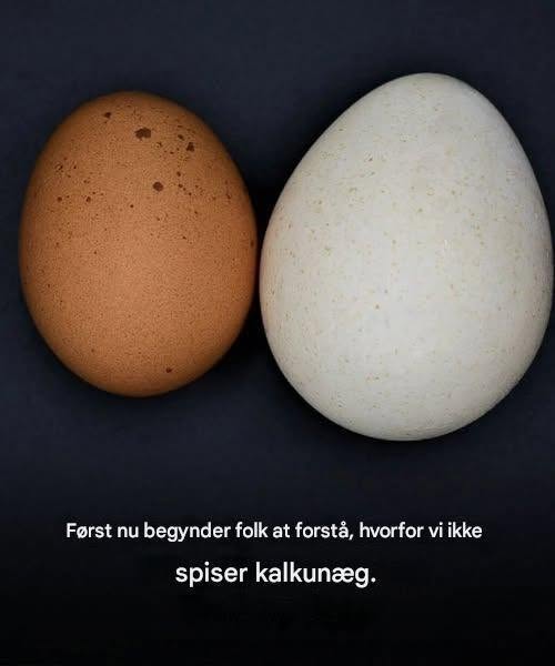 Først nu begynder folk at forstå, hvorfor vi ikke spiser kalkunæg.