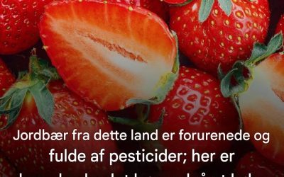 Jordbærrene fra dette land skal absolut undgås…Se mere