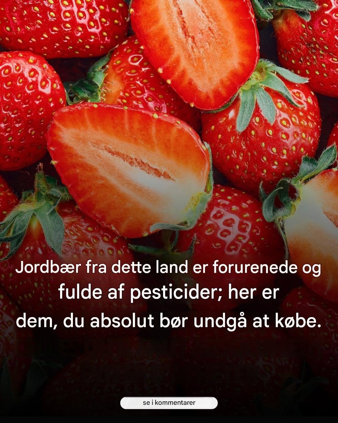Jordbærrene fra dette land skal absolut undgås…Se mere