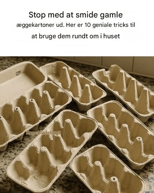 Stop med at smide gamle æggekartoner ud. Her er 10 geniale tricks til at bruge dem derhjemme