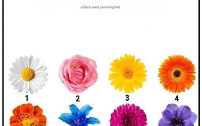 Ingen snak. Blomsten du plukker afslører din sande karakter.