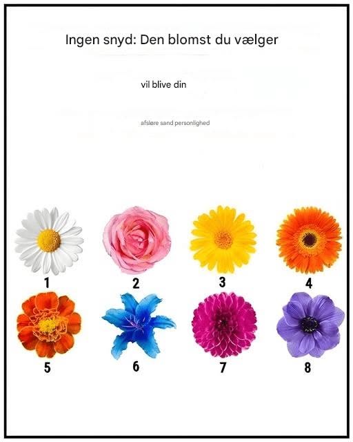 Ingen snak. Blomsten du plukker afslører din sande karakter.