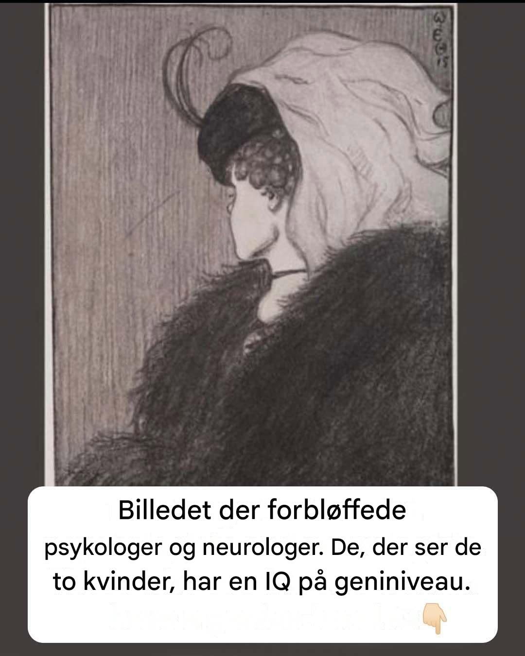 En sjælden få kan se de dobbeltbilleder i dette postkort – Kan du?