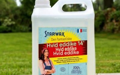 Ingen flere uønskede kolonier: 10 100% naturlige tips til at sige farvel til myrer uden kemikalier