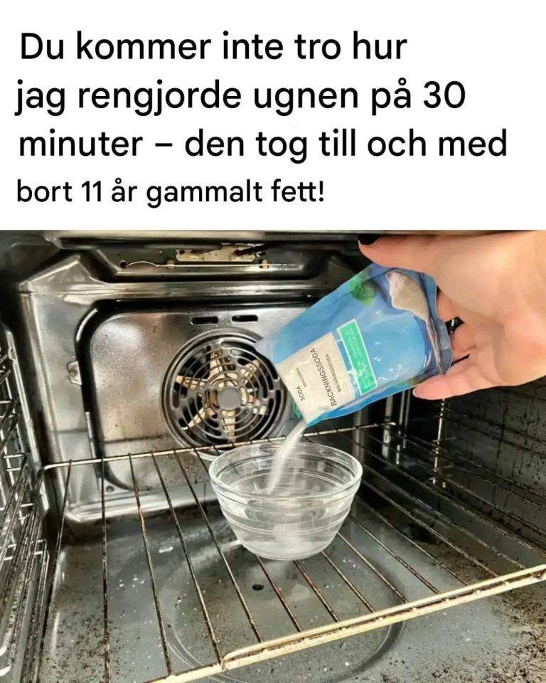 Du vil ikke tro, hvor meget jeg rengjorde ovnen på 30 minutter – den fjernede endda 11 år gammelt fedt!