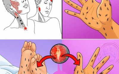 Symptomer på vitamin B12-mangel, der aldrig bør ignoreres