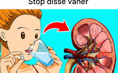 15 daglige vaner, der ødelægger dine nyrer
