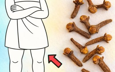 Sitzbad med nellikevand: et gammelt feminint ritual for transformeret intim velvære hos moderne kvinder