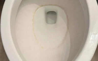Sådan fjerner du pletter fra hårdt vand i toiletkummen – Ingen brug for kradse kemikalier