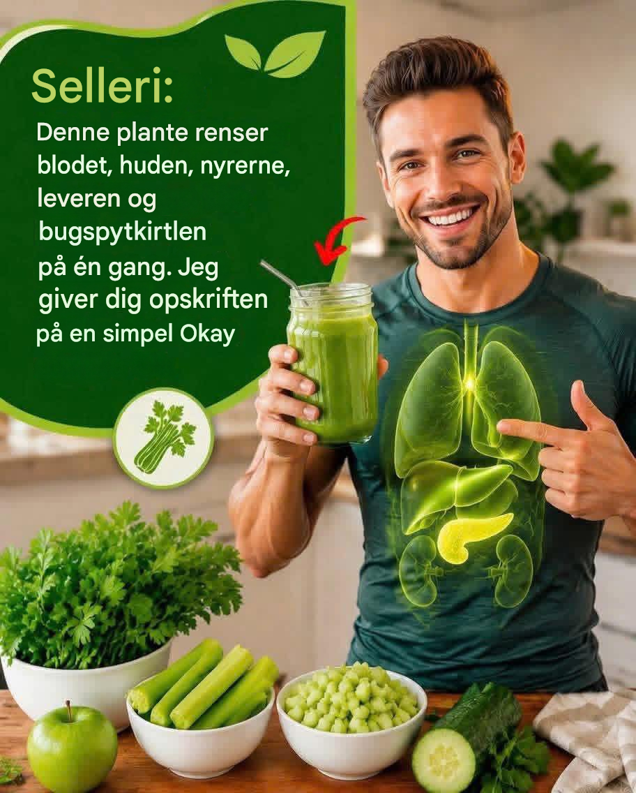 Denne plante renser hud, nyrer, lever og bugspytkirtel på én gang. Men du skal gøre det på denne måde… For at fortsætte med at modtage mine opskrifter, skal du bare sige noget… Tak!