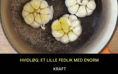 HVIDLØG: ET LILLE FEDLIK MED ENORM KRAFT Fra at styrke dit immunforsvar til at beskytte dit hjerte, er hvidløg ikke bare et køkkenkrydderi, det er en sundhedsforvandler‼️ Her er en oversigt over dets fantastiske fordele. 👇🏼