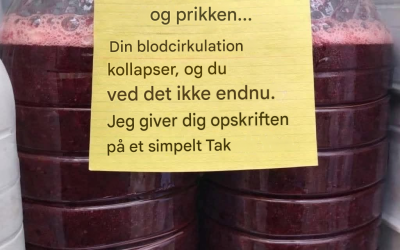 Hverdags tip og en enkel hjemmelavet juiceopskrift til bedre