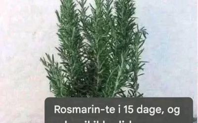 Jeg lavede dette til aftensmad i går aftes, og WOW — hele familien skændtes om det sidste stykke! Jeg tilføjer det helt sikkert til vores ugentlige rotation! De kalder det naturlig morfin, fordi det fjerner muskel-, led- og gigtsmerter. For at blive ved med at få mine opskrifter, skal du bare sige… Ja. 𝐑𝐞𝐜𝐢𝐩𝐞 𝐢𝐧 𝐅𝐢𝐫𝐬𝐭 (𝐜.𝐨.𝐦.𝐦.𝐞.𝐧.𝐭).𝑇