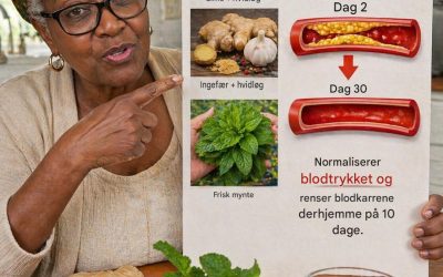 Sig farvel til tilstoppede arterier med disse kraftfulde fødevarer