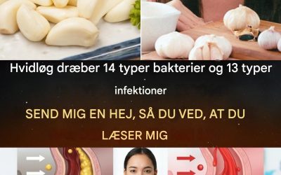 Hvidløg dræber 14 typer bakterier: det naturlige antibiotikum, du skal kende til.
